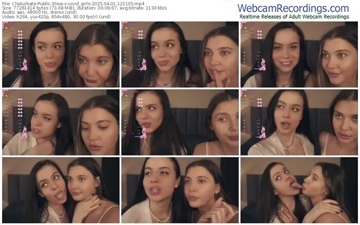2025/04/01/chaturbate-vivid_girls-12-11-05