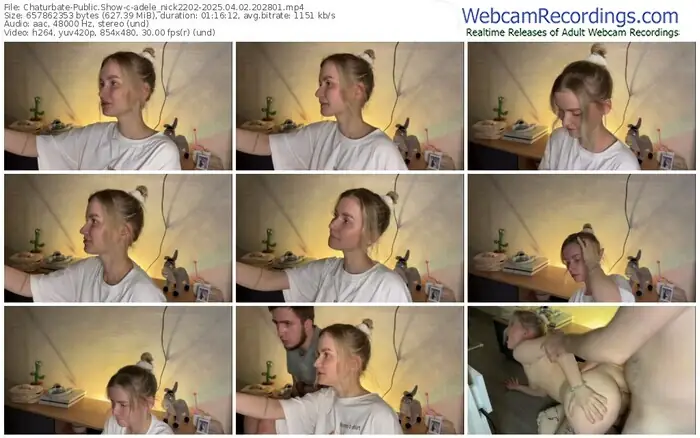 2025/04/02/chaturbate-adele_nick2202-20-28-01