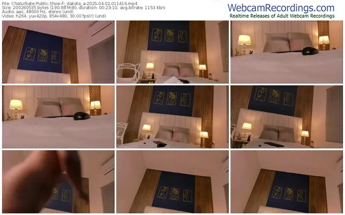 2025/04/02/chaturbate-_dakota_a-01-14-16