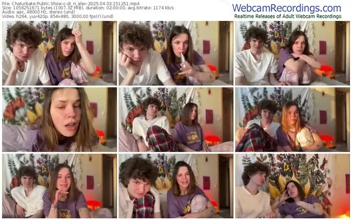 2025/04/03/chaturbate-di_n_alex-15-12-51