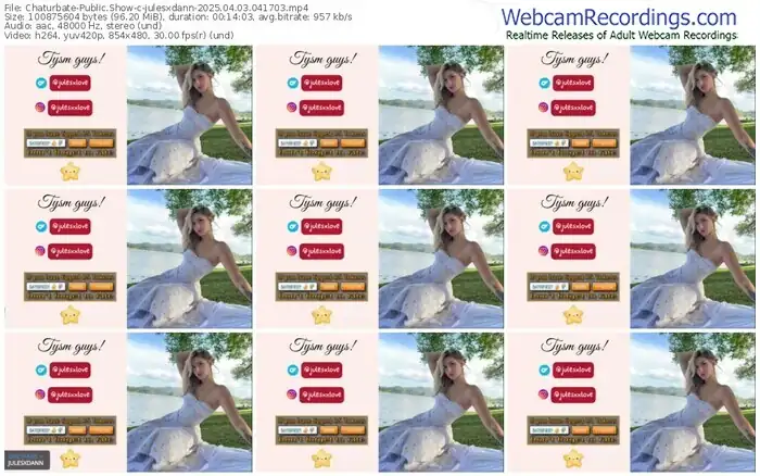 2025/04/03/chaturbate-julesxdann-04-17-03