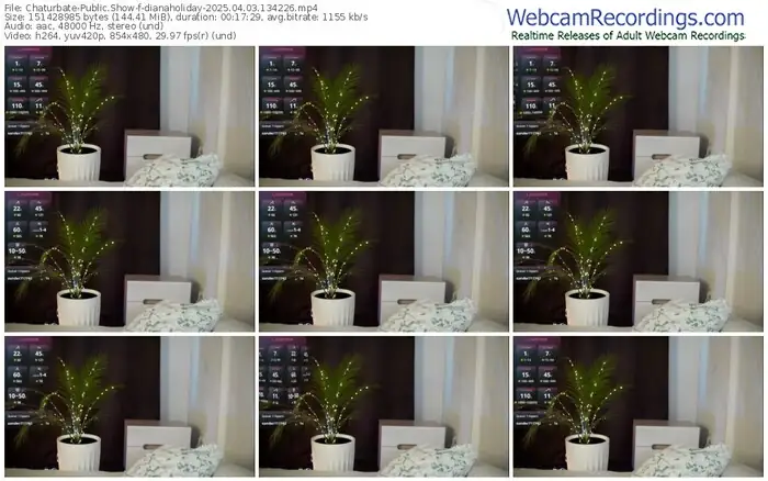 2025/04/03/chaturbate-dianaholiday-13-42-26