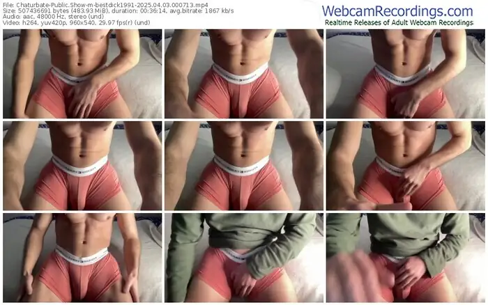 2025/04/03/chaturbate-bestdick1991-00-07-13