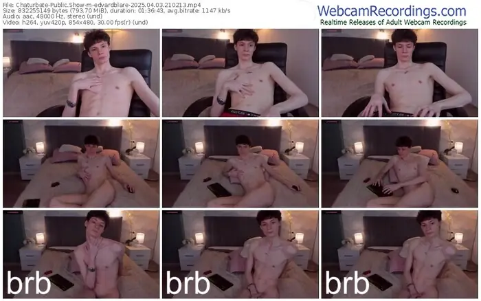 2025/04/03/chaturbate-edvardblare-21-02-13