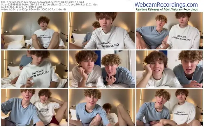 2025/04/05/chaturbate-swoopyboy-20-31-50