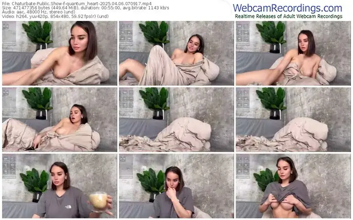 2025/04/06/chaturbate-quantum_heart-07-09-17