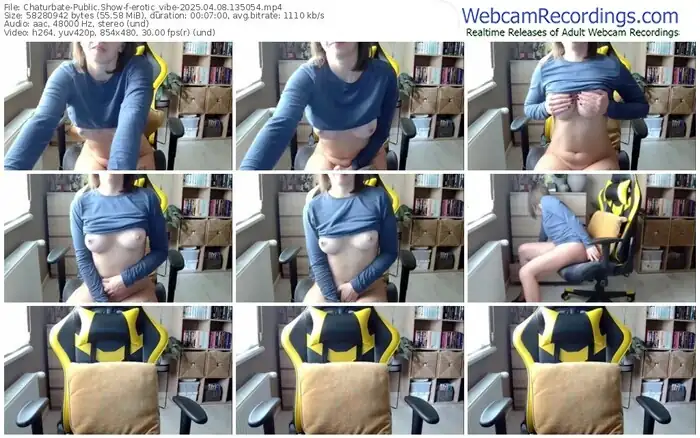 2025/04/08/chaturbate-erotic_vibe-13-50-54
