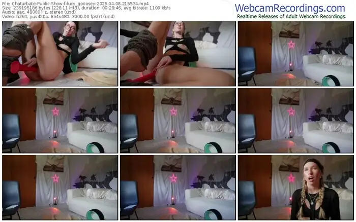 2025/04/08/chaturbate-lucy_gooosey-21-55-34
