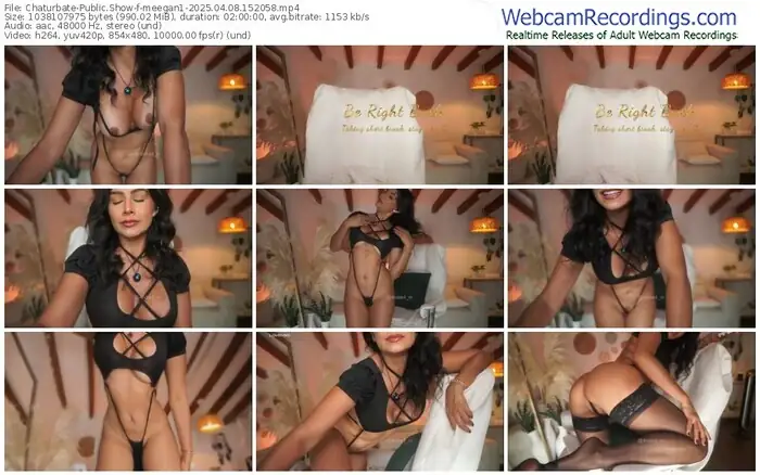 2025/04/08/chaturbate-meegan1-15-20-58