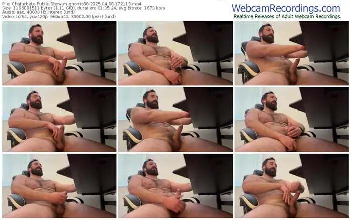 2025/04/08/chaturbate-gnorris88-17-21-13