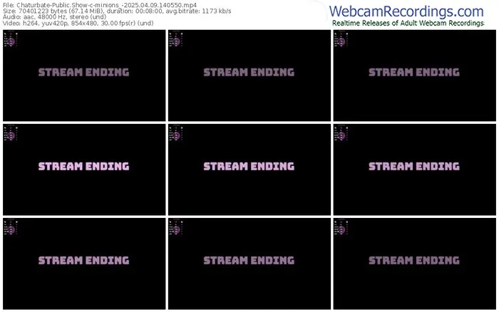2025/04/09/chaturbate-minions_-14-05-50