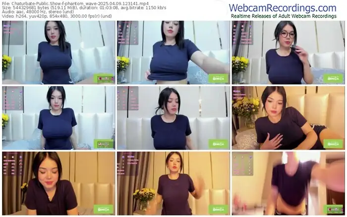 2025/04/09/chaturbate-phantom_wave-12-31-41