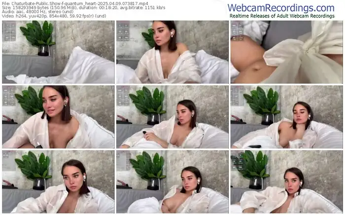 2025/04/09/chaturbate-quantum_heart-07-38-17
