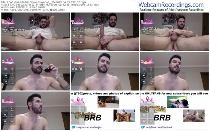 2025/04/09/chaturbate-wapos__25-23-21-02