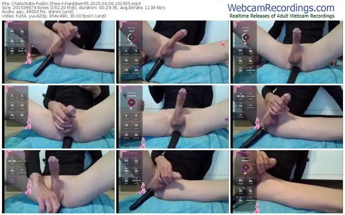2025/04/09/chaturbate-harddom95-10-19-05