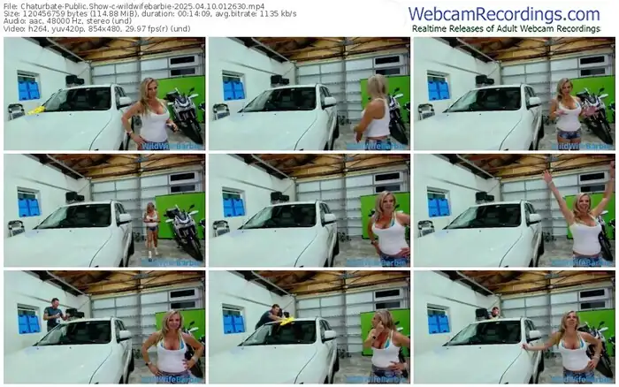 2025/04/10/chaturbate-wildwifebarbie-01-26-30