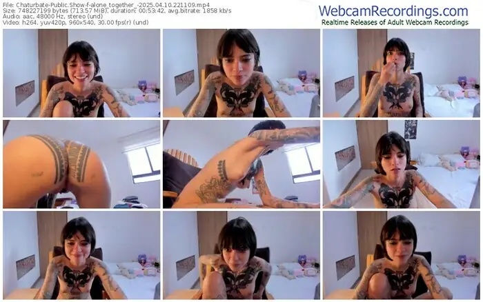 2025/04/10/chaturbate-alone_together_-22-11-09