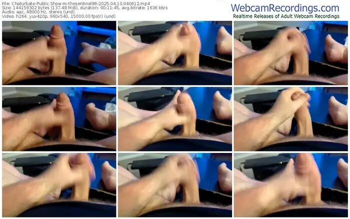 2025/04/10/chaturbate-thesentinel86-04-06-12
