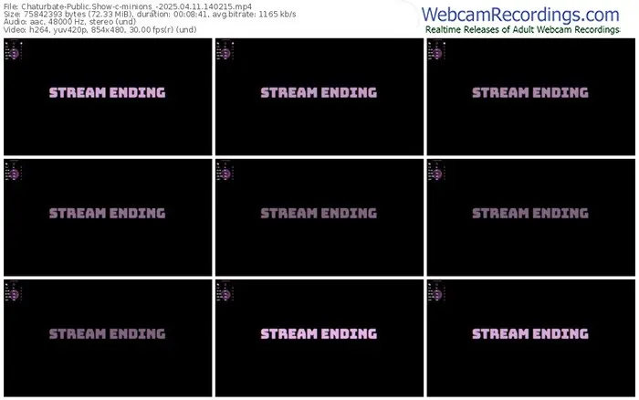 2025/04/11/chaturbate-minions_-14-02-15