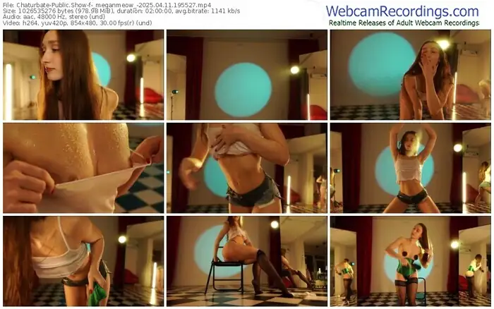 2025/04/11/chaturbate-_meganmeow_-19-55-27