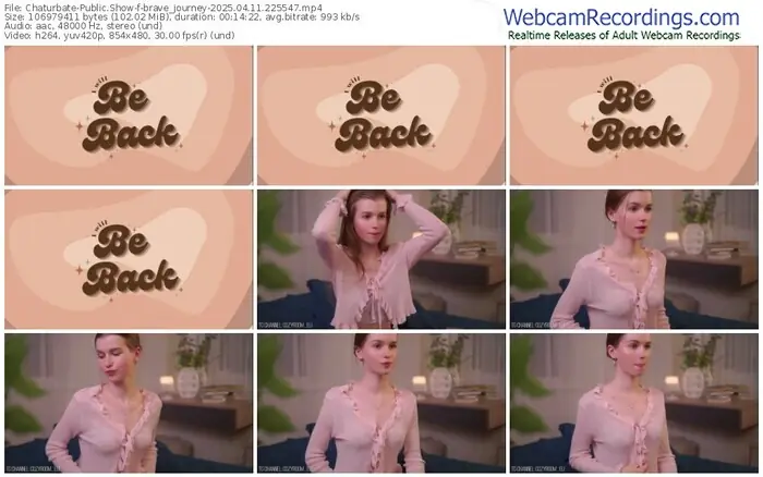 2025/04/11/chaturbate-brave_journey-22-55-47