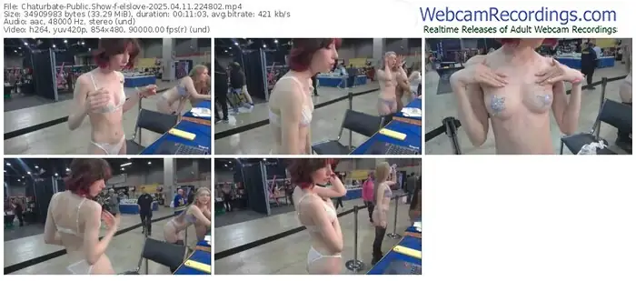 2025/04/11/chaturbate-elslove-22-48-02