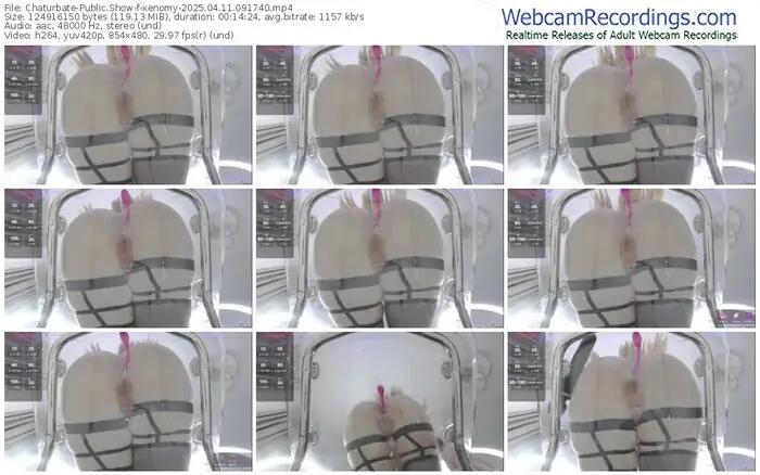 2025/04/11/chaturbate-xenomy-09-17-40