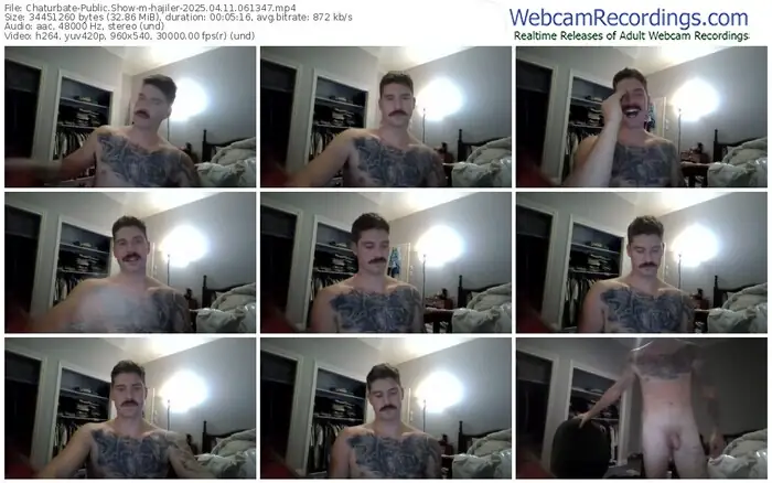 2025/04/11/chaturbate-hajiler-06-13-47