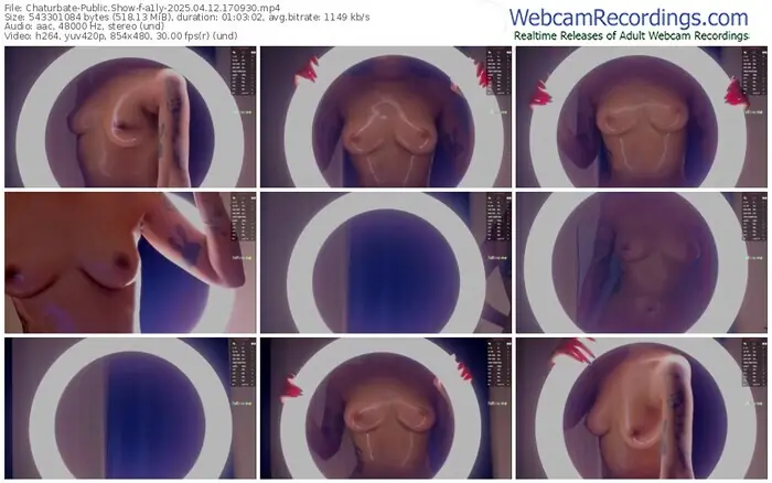 2025/04/12/chaturbate-a1ly-17-09-30