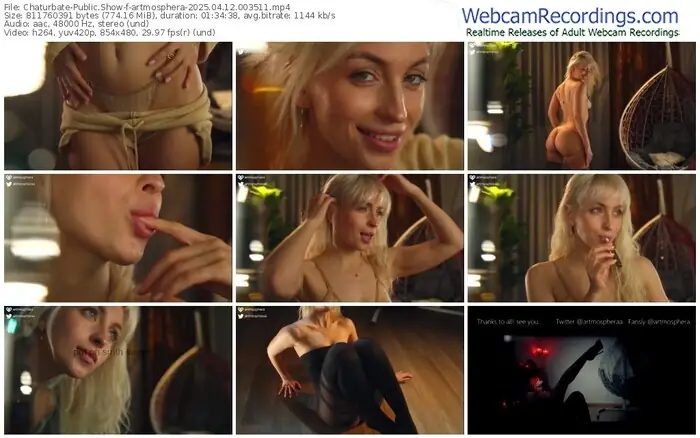 2025/04/12/chaturbate-artmosphera-00-35-11