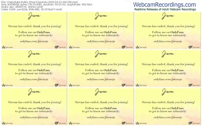 2025/04/12/chaturbate-jiwon4u-09-13-36