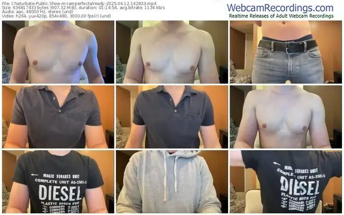 2025/04/12/chaturbate-iamperfectalready-14-28-33