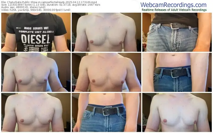 2025/04/12/chaturbate-iamperfectalready-17-31-49
