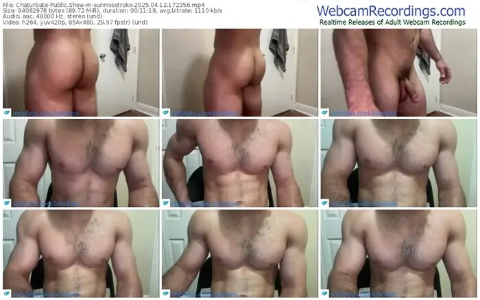 2025/04/12/chaturbate-sunrisestroke-17-23-56
