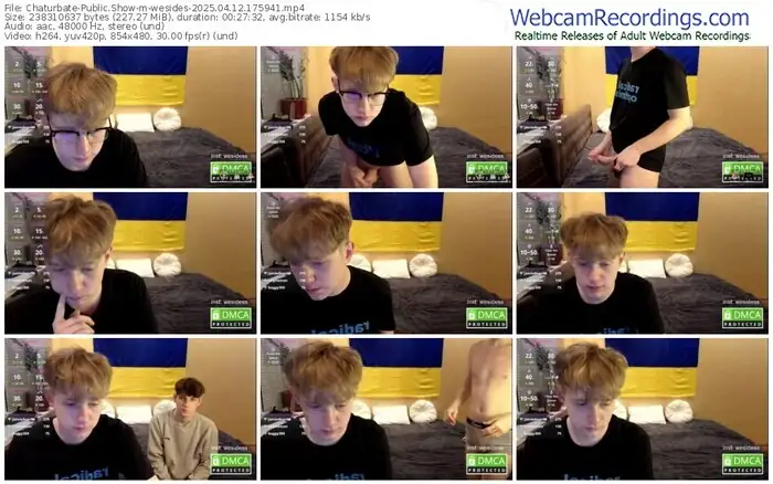 2025/04/12/chaturbate-wesides-17-59-41