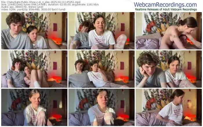 2025/04/13/chaturbate-di_n_alex-14-52-51