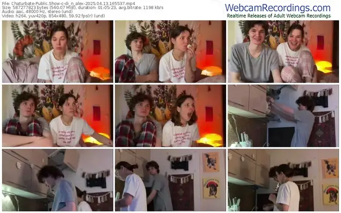 2025/04/13/chaturbate-di_n_alex-16-55-37