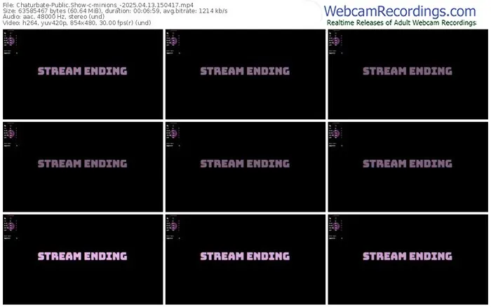2025/04/13/chaturbate-minions_-15-04-17