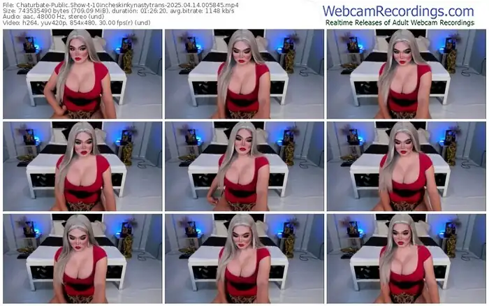 2025/04/14/chaturbate-10incheskinkynastytrans-00-58-45