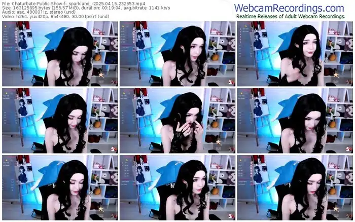 2025/04/15/chaturbate-_sparkland_-23-25-53