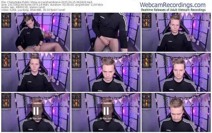 2025/04/15/chaturbate-zackhandsome-06-24-18