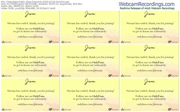 2025/04/16/chaturbate-jiwon4u-01-40-24