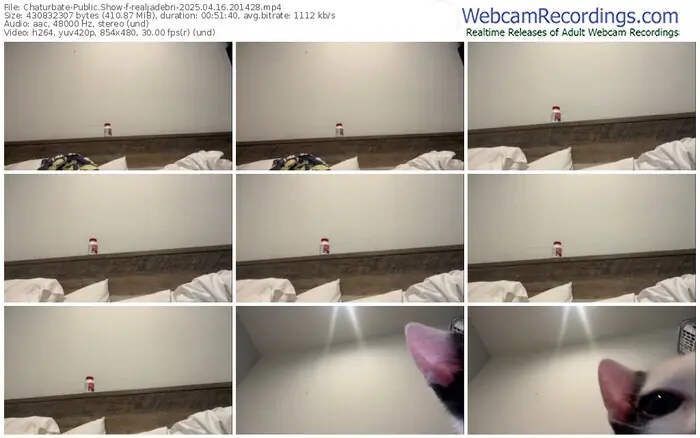 2025/04/16/chaturbate-realjadebri-20-14-28