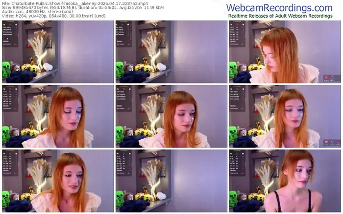 2025/04/17/chaturbate-hisoka__akerley-22-37-52