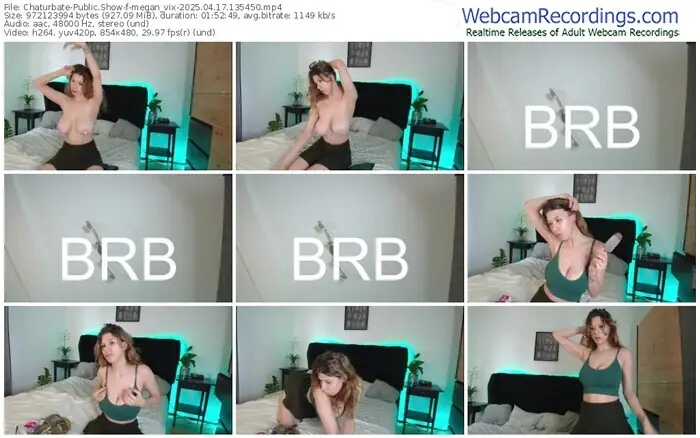 2025/04/17/chaturbate-megan_vix-13-54-50