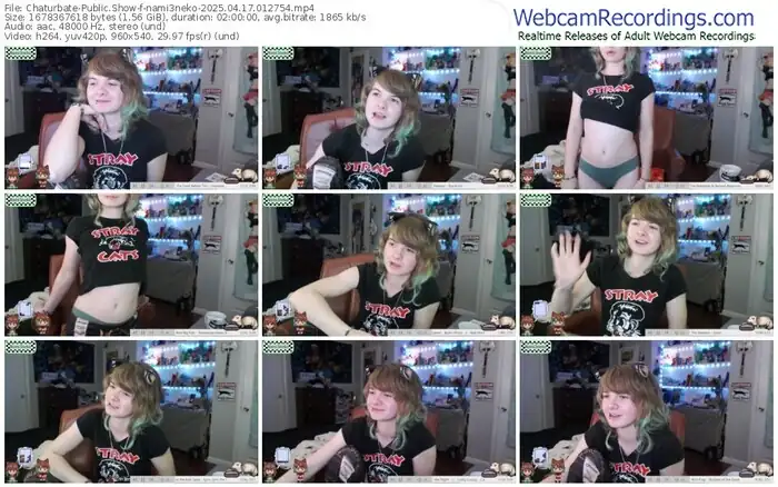2025/04/17/chaturbate-nami3neko-01-27-54