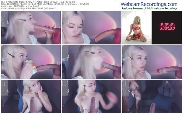 2025/04/18/chaturbate-_chatur_babe-14-39-41