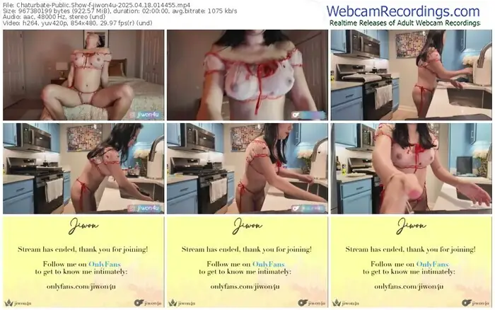 2025/04/18/chaturbate-jiwon4u-01-44-55