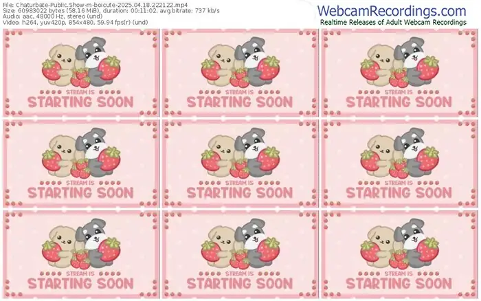 2025/04/18/chaturbate-boicute-22-21-22