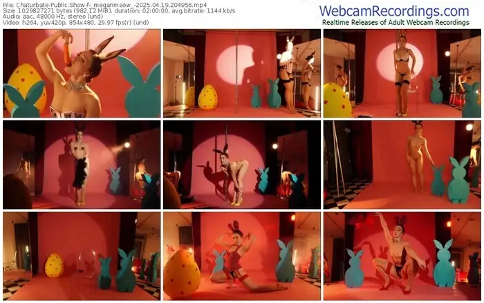 2025/04/19/chaturbate-_meganmeow_-20-49-56